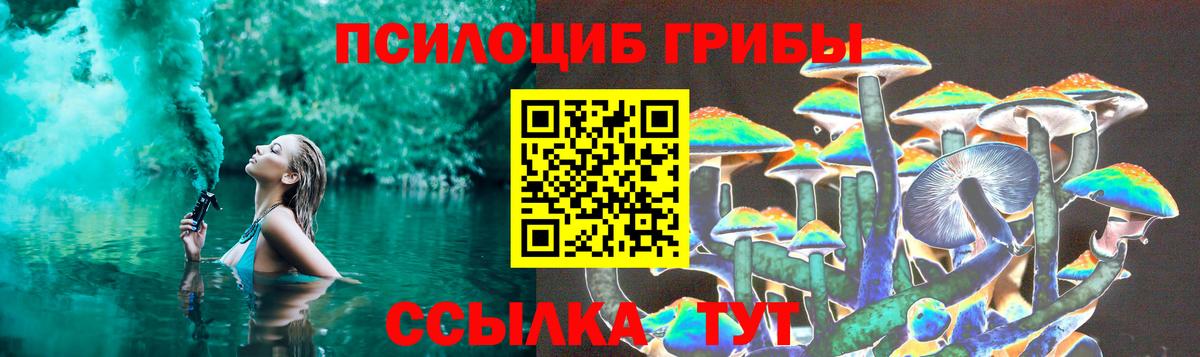 Галлюциногенные грибы Magic Shrooms  Вход с VPN  Волоколамск  где купить наркотик  Псилоцибиновые грибы Cubensis 